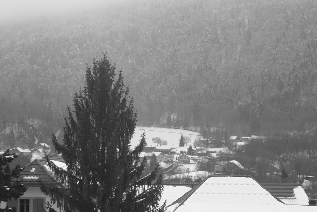 Accueil Savoyard Hotel Mieussy Стая снимка